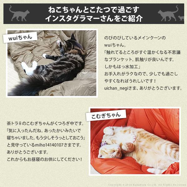 こたつ テーブル 長方形 ソファで使えるフラットヒーターこたつ-ブエノ105x55cm ペットの毛や汚れに強いこたつ布団 2点セット テレワーク ステイホーム |  | 15