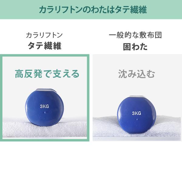 敷き布団 敷布団 ダブル 吸湿する1枚で寝られるオールインワン敷布団 karari カラリフトン ダブル D 除湿 |  | 12