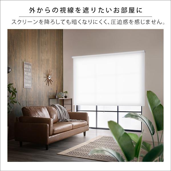壁空け不要！つっぱりロールスクリーン 幅180cm 採光タイプ ロールカーテン 突っ張り 穴あけ不要 取り付け簡単 間仕切り 目隠し めかくし |  | 06