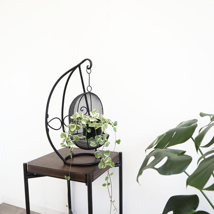 インテリア、エクステリア兼用 ハンギングプランターL ブラック 鉢カバー インテリア エレガント ガーデニング お花 観葉植物 おしゃれ |  | 10