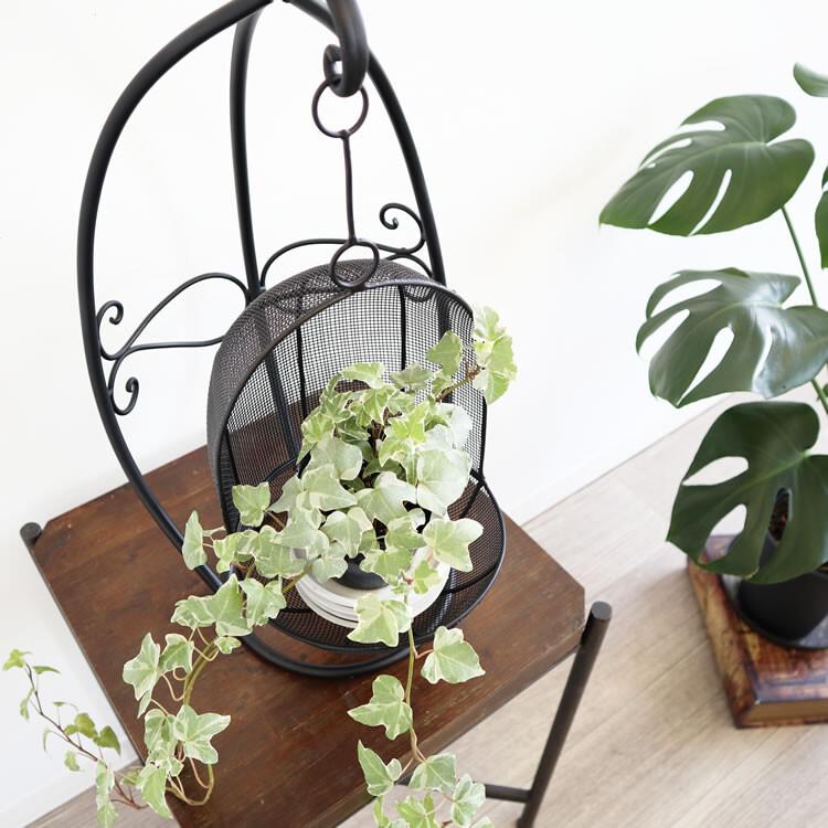 インテリア、エクステリア兼用 ハンギングプランターL ブラック 鉢カバー インテリア エレガント ガーデニング お花 観葉植物 おしゃれ |  | 08