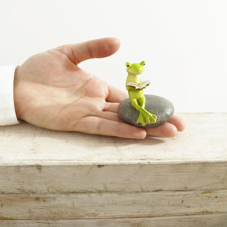 ディスプレイとしてかわいい♪ 置物  オブジェ 読書しているカエル オブジェ 置き物 アンティーク エレガント |  | 05