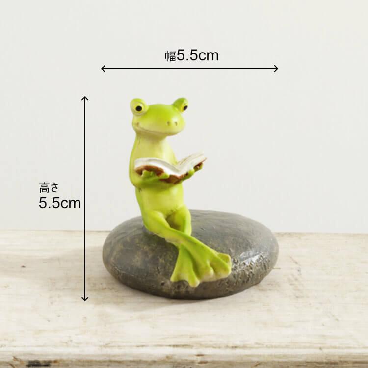 ディスプレイとしてかわいい♪ 置物  オブジェ 読書しているカエル オブジェ 置き物 アンティーク エレガント |  | 06