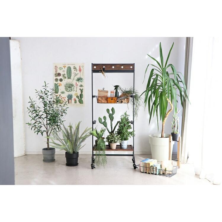 プレンティワゴン L 3段 キッチンワゴン キャスター付き ライト付き プランターワゴン スリム おしゃれ ディスプレーラック 飾り棚 |  | 01