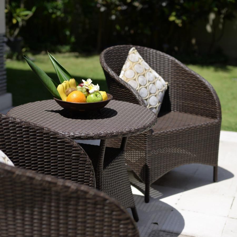 ラウンジチェア アウトドア家具 ガーデン家具 シンセティックラタン 1P 軽量 |  | 01