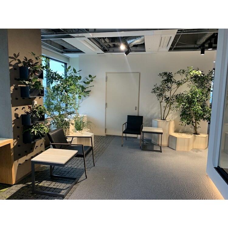 業務用 桐和紙 壁紙 留河 5ロール |  | 02