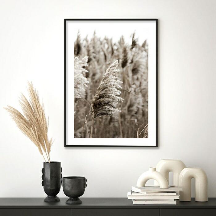 【余白バランスがおしゃれ】ポスター A3 北欧 モダン 絵 ナチュラル ベージュ パンパスグラス |  | 02