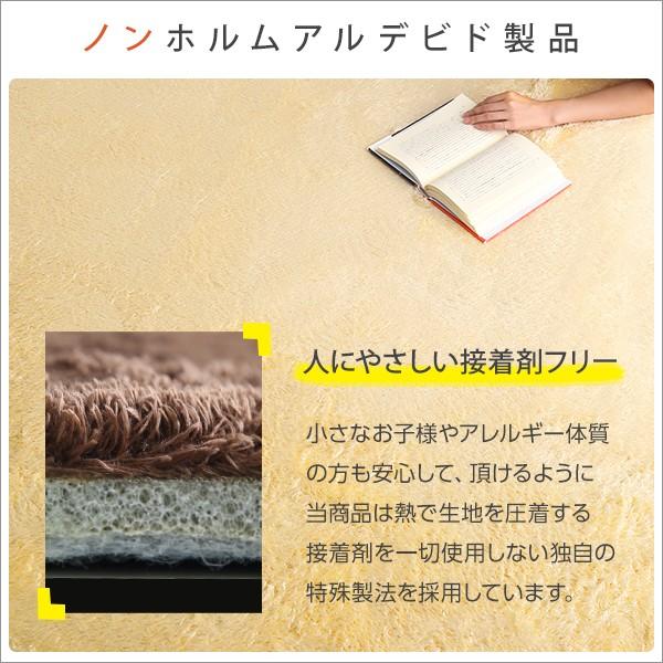 ふわふわシャギーラグマットXLサイズ（200×300cm）洗えるラグマット、オールシーズン対応｜エノーテ |  | 05