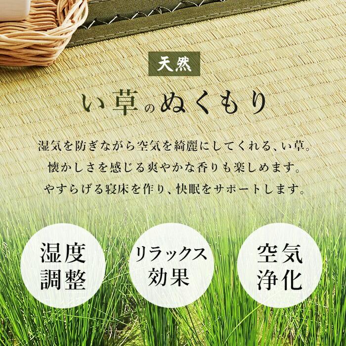 畳ベッド シングルサイズ い草 敷布団対応 和モダン 和風 レトロ ヘッドレス コンパクト 省スペース たたみベッド ベッドフレーム 通気性 湿気対策 高さ調整 | ブランド登録なし | 02