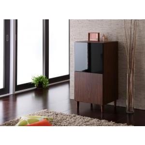 レトロモダン収納シリーズ NOLDO ノルド キャビネット 約幅50 リビング収納 サイドボード  040106234 | 