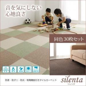 防音・防ダニ・防炎・制電機能付きタイルカーペット silenta シレンタ 同色30枚入り 絨毯マット ラグマット パネルカーペット  040701135 | 