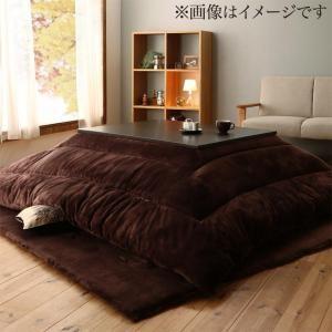 ふんわりなめらか防ダニフランネル 「ダブルで暖か」こたつ掛け敷き布団2点セット　5尺長方形(90×150cm)天板対応 | 