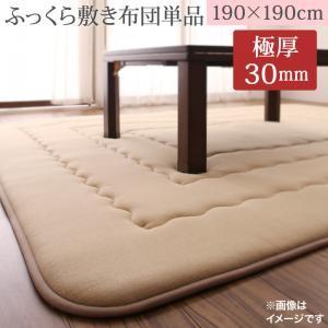 こたつ敷きふとん 正方形 190×190cm アマベル 厚手 厚い 厚め こたつ敷き布団 敷き布団単品 ラグ こたつ布団 分厚い | 