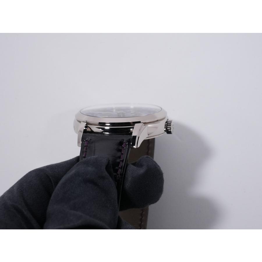 パテックフィリップ コンプリケーション ワールドタイム デイト Ref.5330G-010 ホワイトゴールド パープル文字盤 | PATEK PHILIPPE | 05