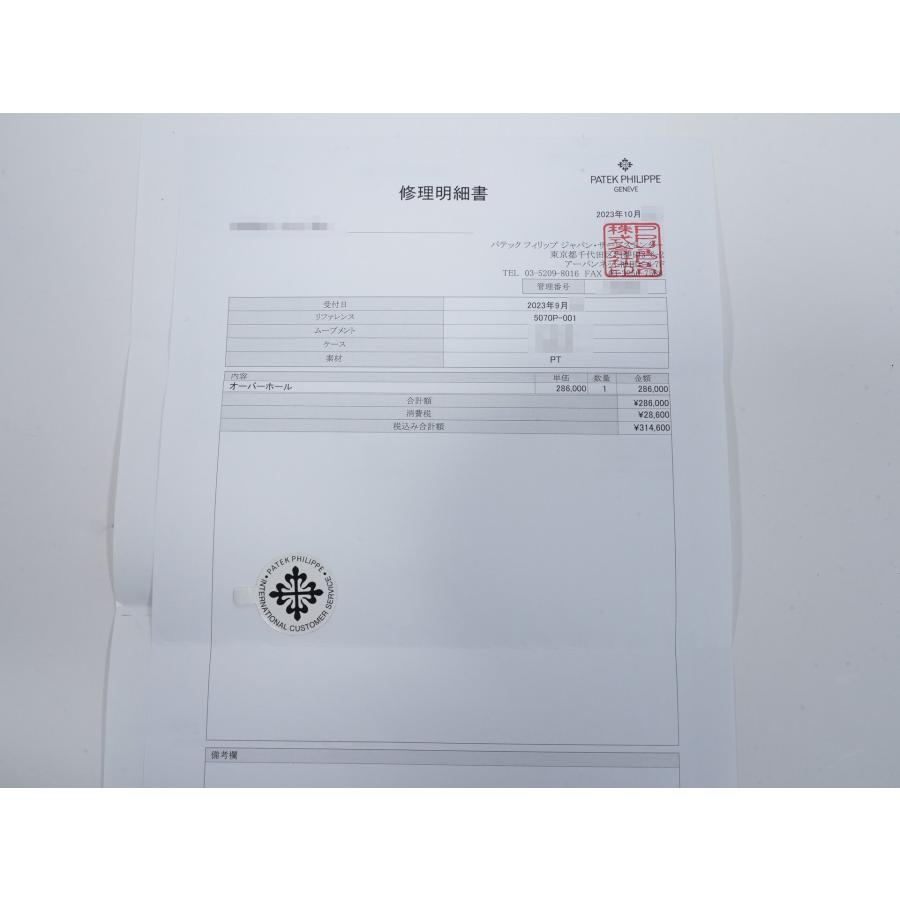 パテックフィリップ コンプリケーション クロノグラフ Ref.5070P-001 プラチナ ブルー文字盤 | PATEK PHILIPPE | 13