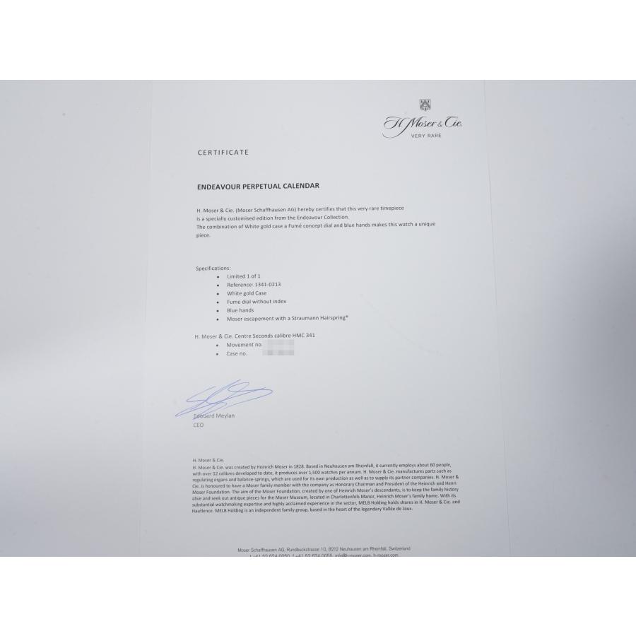 H.モーザー エンデバー パーペチュアル カレンダー コンセプト Ref.1341-0213 18KWG シグネチャーフュメ文字盤 | H.モーザー | 09