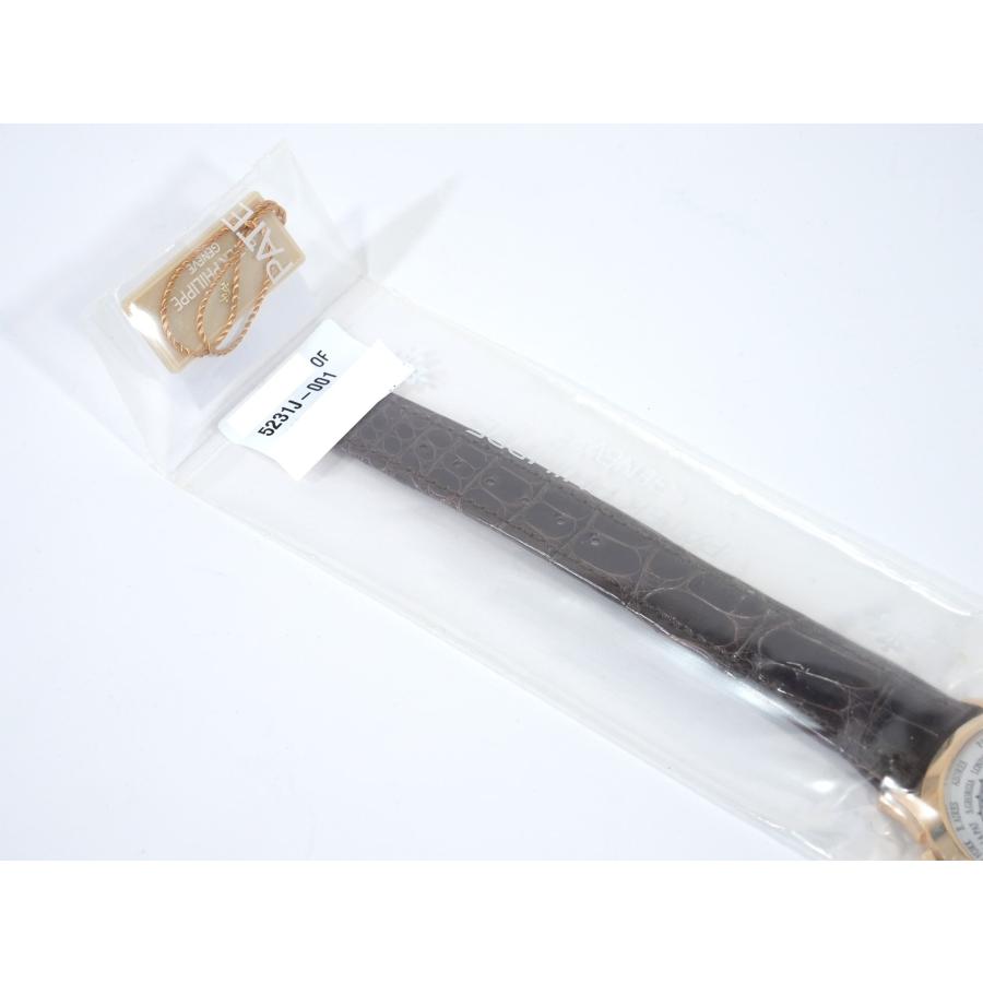 パテックフィリップ ワールドタイム クロワゾネ Ref.5231J-001 イエローゴールド クロワゾネ文字盤 | PATEK PHILIPPE | 08