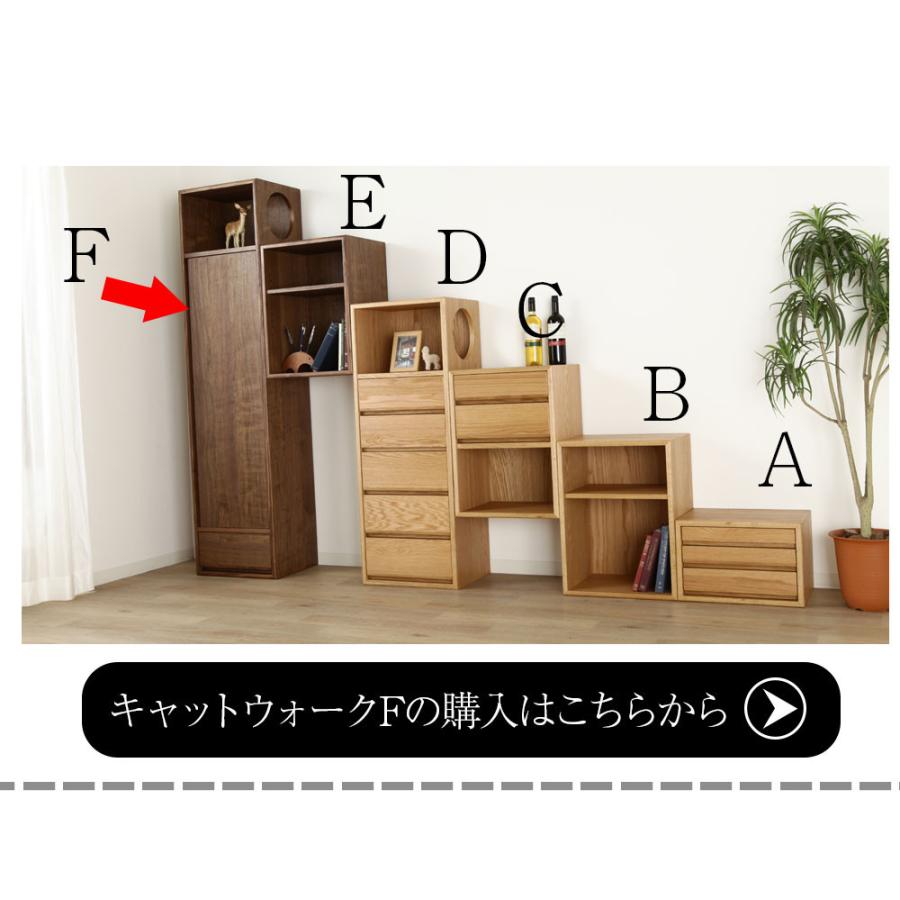 野中木工所 cat walk キャットウォークB オープン収納 ウォールナット