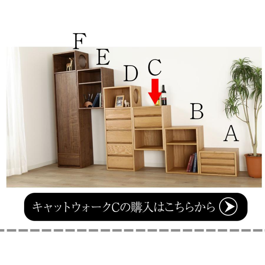 野中木工所 cat walk キャットウォークB オープン収納 ウォールナット