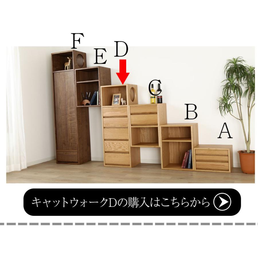 野中木工所 cat walk キャットウォークB オープン収納 ウォールナット