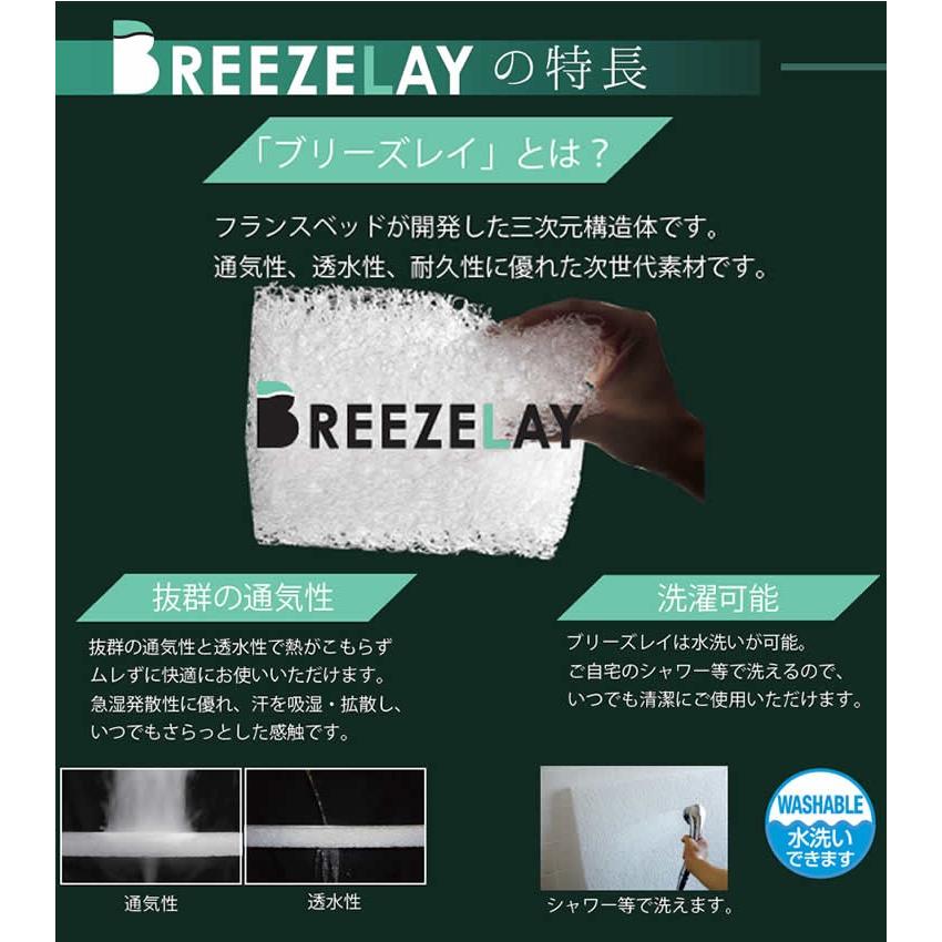 フランスベッド（FRANCEBED） ベッドパッド ボディテクト シングル