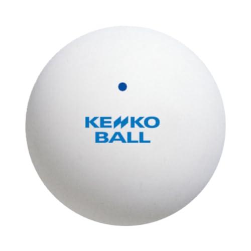 ナガセケンコー(KENKO) ソフトテニスボール かご入りセット 練習球10ダース(120個) TSSWK-V｜como-3606net14005｜02