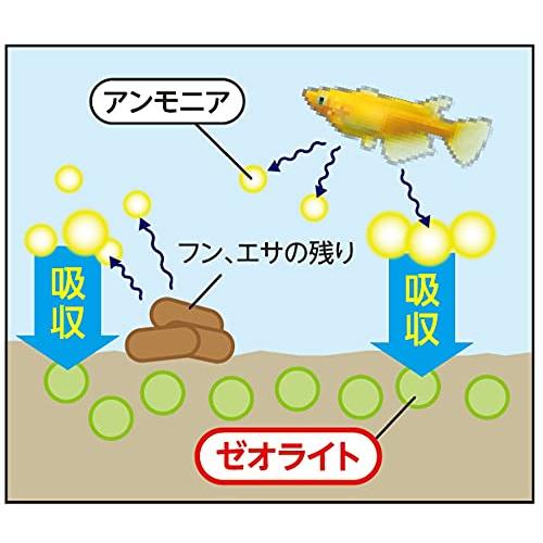 テトラ (Tetra) メダカ ラクラクお手入れ砂利 ホワイトミックス 1キログラム 砂利 底砂 アクアリウム メダカ｜como-3606net14005｜03