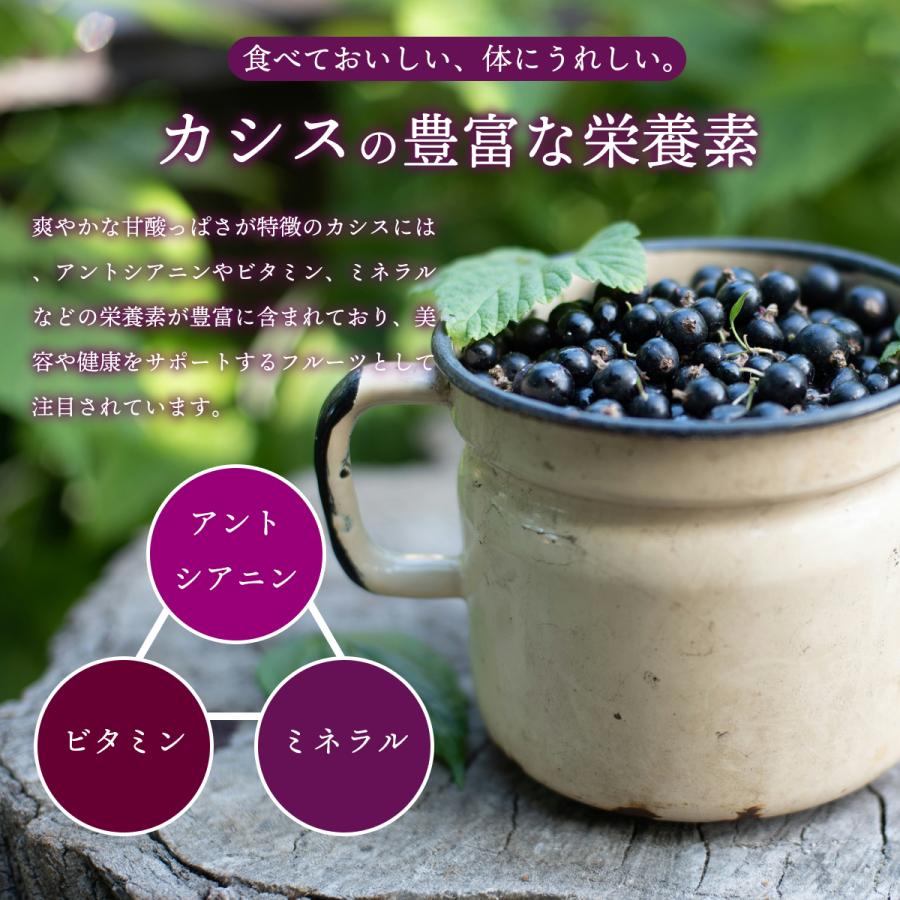 カシス 粉末 スプレードライパウダー カ100g ポーランド産 カシスパウダー 果汁 ヨーグルト スムージー ジュース お菓子作り アントシアニン ビタミン ミネラル |  | 03