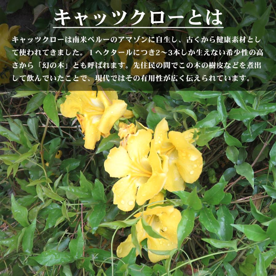 キャッツクロー 100 粉末 キャッツクローパウダー 100g ペルー産 キャッツクロウ 南米 健康食品 スーパーフード サプリメント