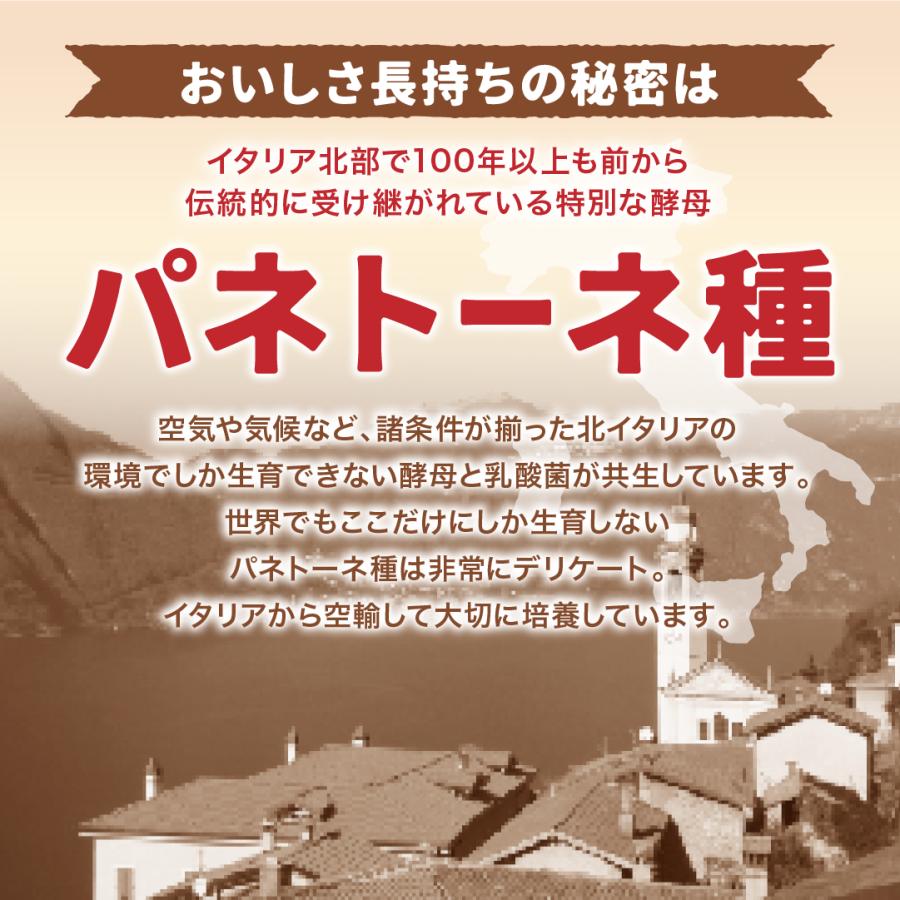 パネトーネクリスマスギフト 7種類21個入 期間限定 ロングライフパン コモパン 長期保存パン クロワッサン パン 詰め合わせ 非常食 ギフト | COMO | 12