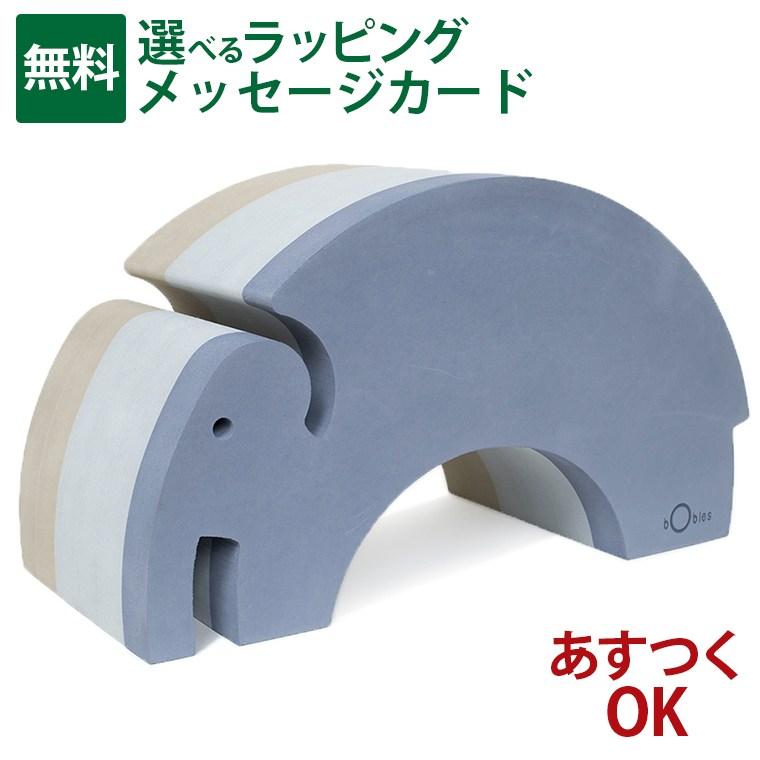 苗木・植木 Panino パニーノ 挿木苗 イチジク