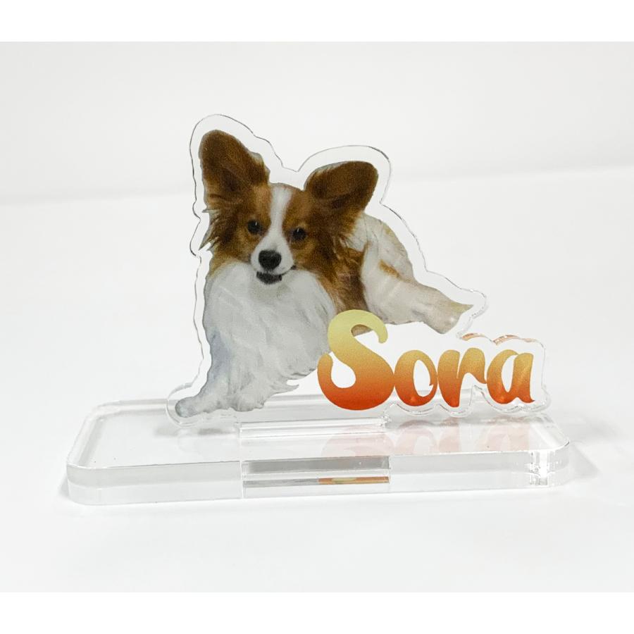 うちの子フィギュア　1体セット |  | 01