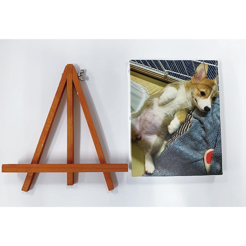 キャンバスパネル印刷・キャンバスプリント |  | 03