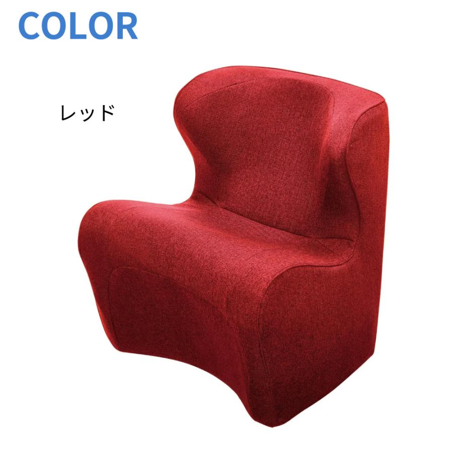 Style（スタイル） 姿勢サポートチェア MTG Style Dr.CHAIR Plus