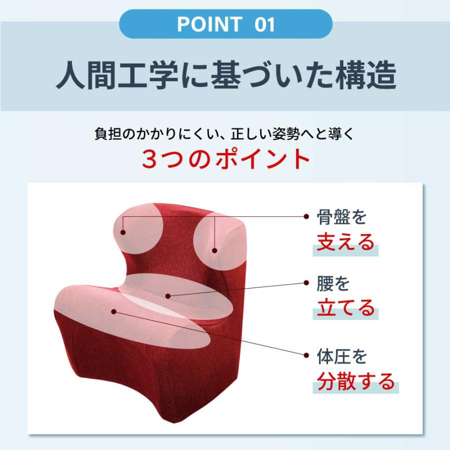 Style（スタイル） 姿勢サポートチェア MTG Style Dr.CHAIR Plus