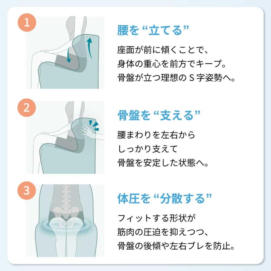 一部難有 Style ドクターチェアプラス ブルー 姿勢サポート 腰痛改善 椅子 健康 スタイル 座椅子 札幌市 中央区 南12条 Style（スタイル） ○ポイント10倍！○ ドクターチェア プラス Style