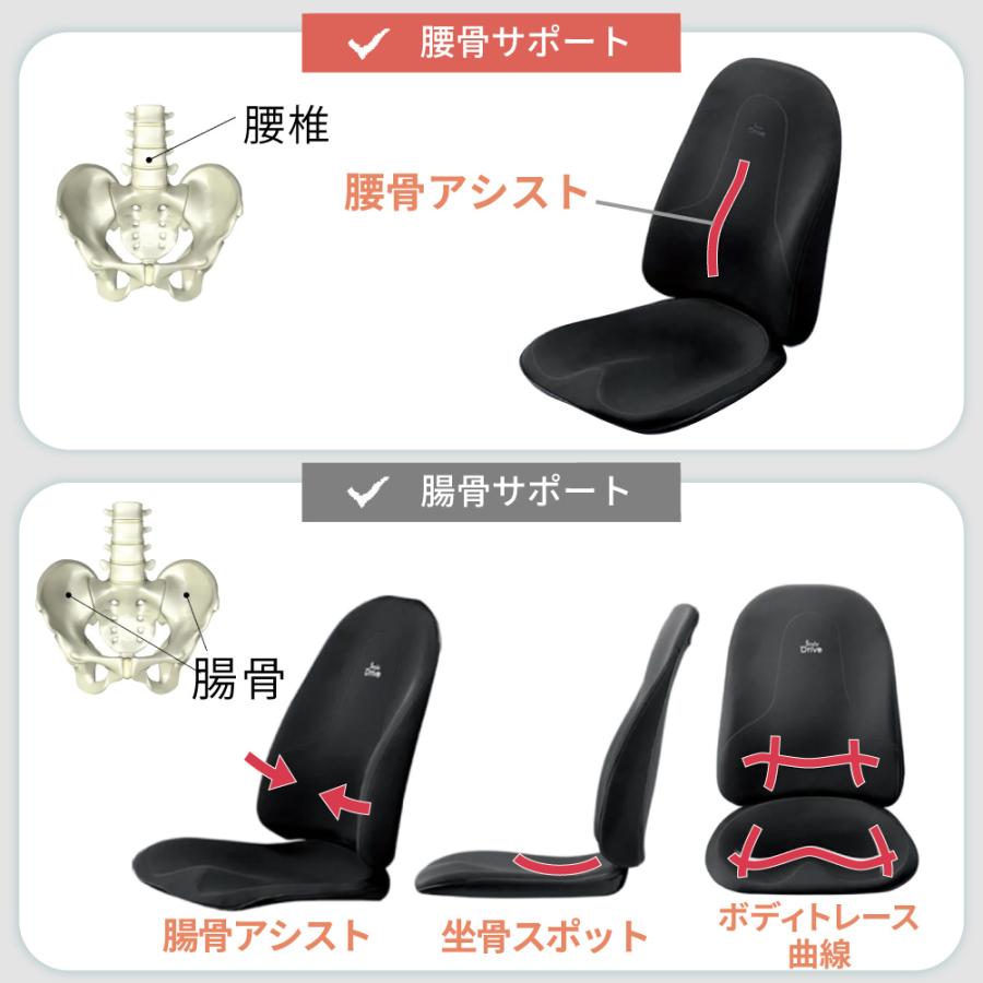 Style（スタイル） 姿勢サポート MTG スタイルドライブ Style Drive 車