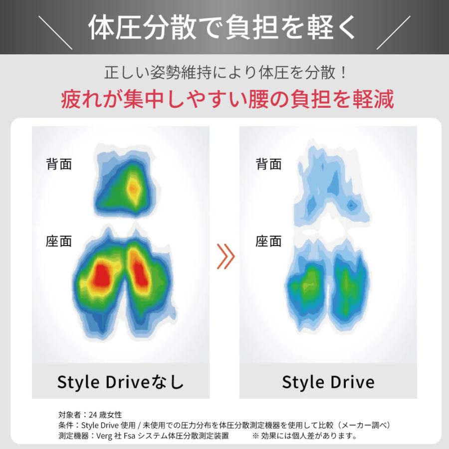 Style（スタイル） 姿勢サポート MTG スタイルドライブ Style Drive 車