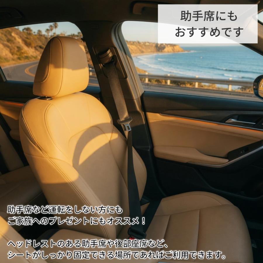 Style（スタイル） 姿勢サポート MTG スタイルドライブ Style Drive 車
