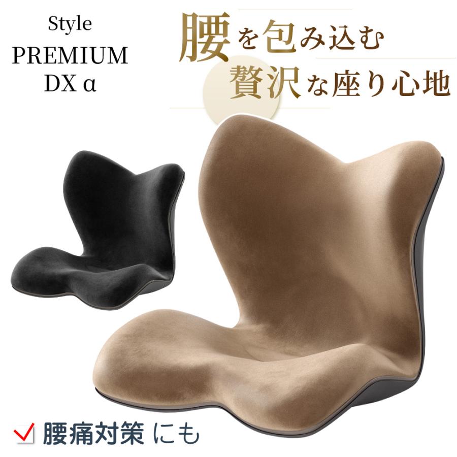 Style（スタイル） 姿勢ケアシート MTG Style PREMIUM DXα スタイル