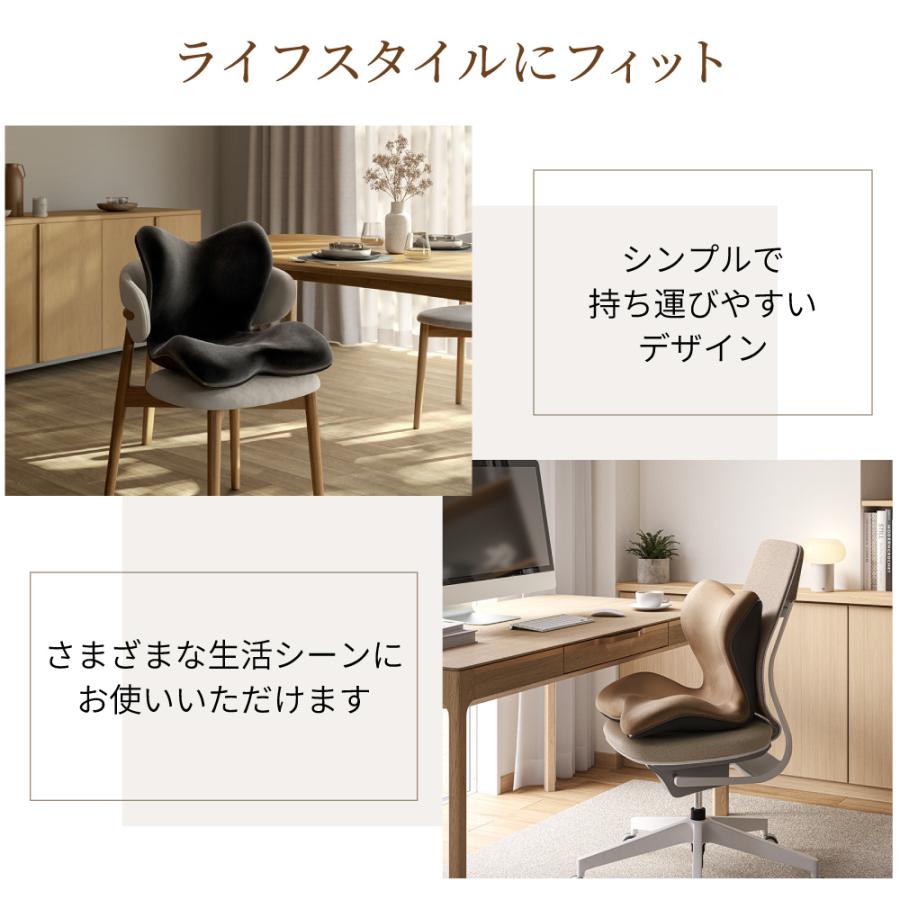 Style（スタイル） 姿勢ケアシート MTG Style PREMIUM DXα スタイル