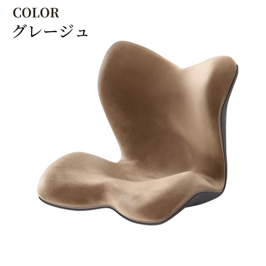 Style（スタイル） 姿勢ケアシート MTG Style PREMIUM DXα スタイル