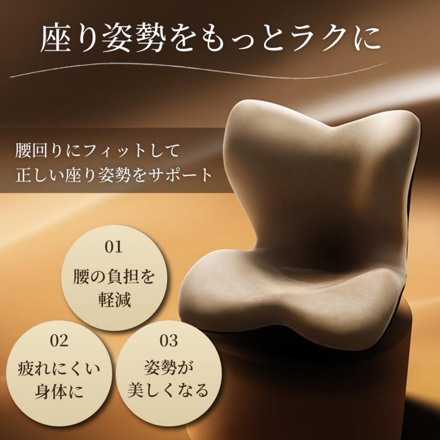 Style（スタイル） 姿勢ケアシート MTG Style PREMIUM DXα スタイル