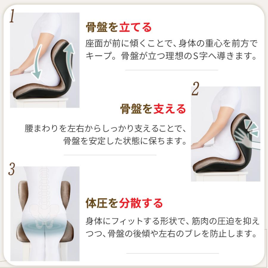 Style（スタイル） 姿勢ケアシート MTG Style PREMIUM DXα スタイル