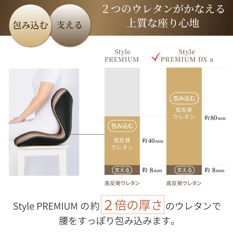 Style（スタイル） 姿勢ケアシート MTG Style PREMIUM DXα スタイル