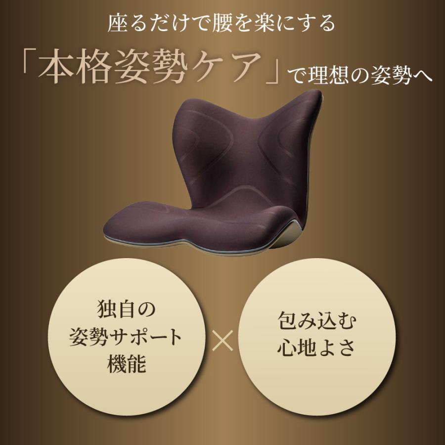 Style 姿勢 サポートチェア MTG スタイルプレミアム PREMIUM