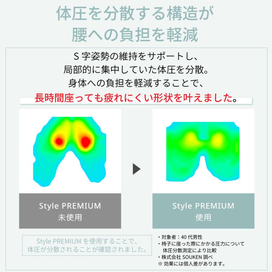 Style（スタイル） 姿勢 サポートチェア MTG スタイルプレミアム Style