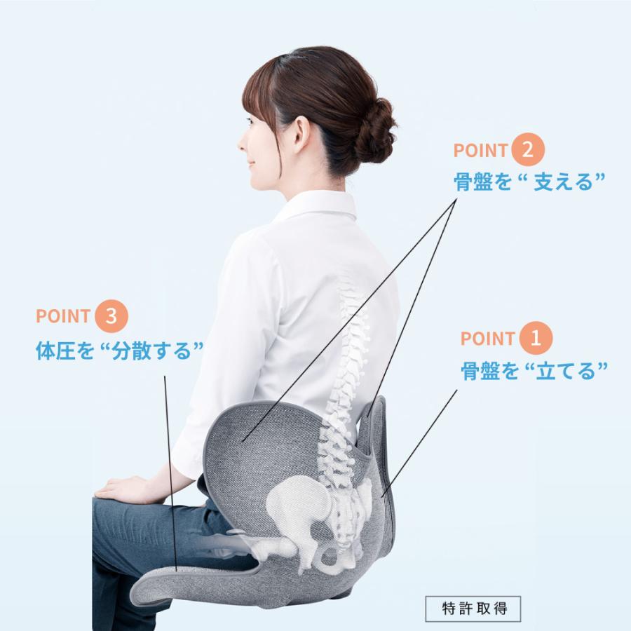骨盤矯正 椅子（Style Standard） Style（スタイル） 姿勢ケアシート Style Standard スタンダード N01