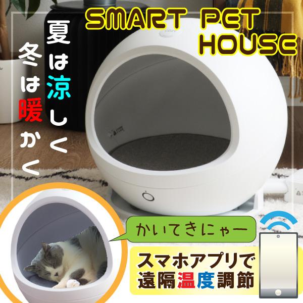 スマートペットハウス 猫ベッド 涼しい 小型犬 おしゃれ 温度管理 温度調節 寒さ対策 スマホ操作 ドールベッド インスタ映え コージー2 Cozy 冷暖房ハウス 165 Smart Pet House コモドカーサyahoo 店 通販 Yahoo ショッピング