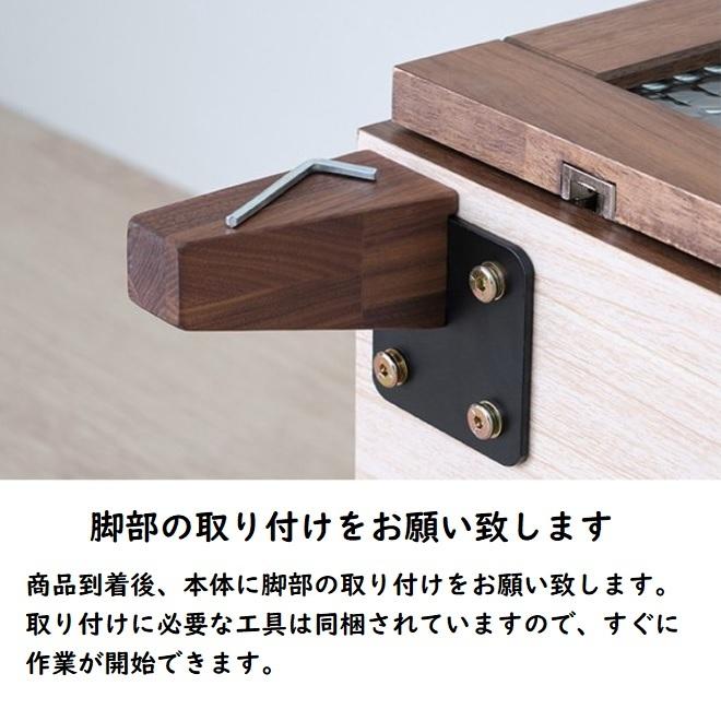 ロ―ボード 幅100 フランツ FLANTS 一生紀 ISSEIKI テレビボード テレビ